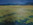 Feld im Frühling (unverkäuflich)